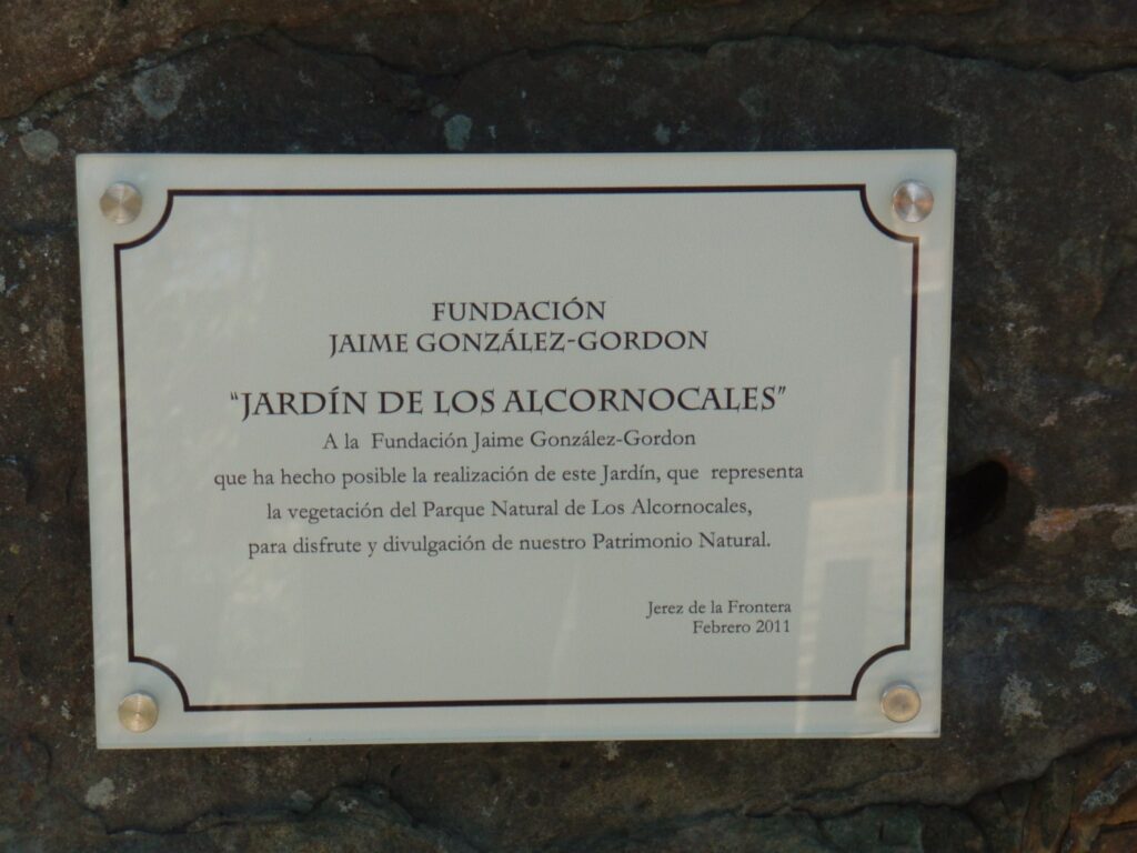 Proyecto jardín de los Alcorconales